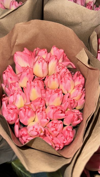 Тюльпаны в РОЗНИЦУ