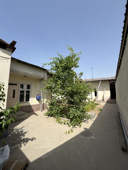 Yakkasaroy tumani salamatina