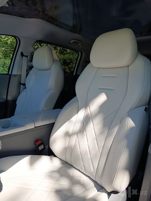 Arcfox Kaola S 500km Автокредит