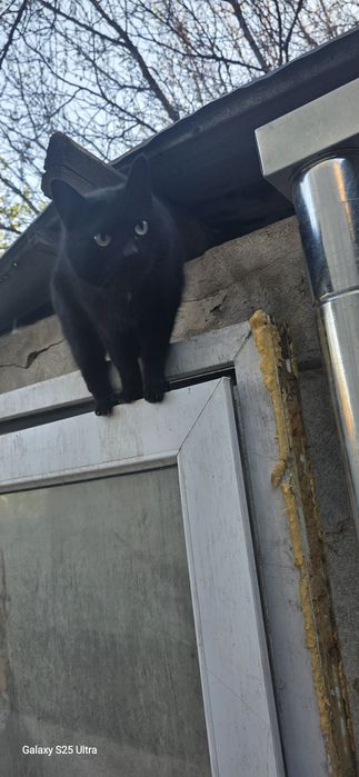 Пластиковая дверь со стеклом