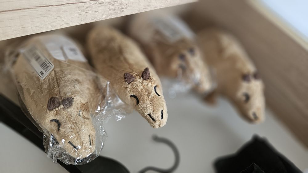 Capybara de plus Oferta!!! 2 buc la 40 de lei