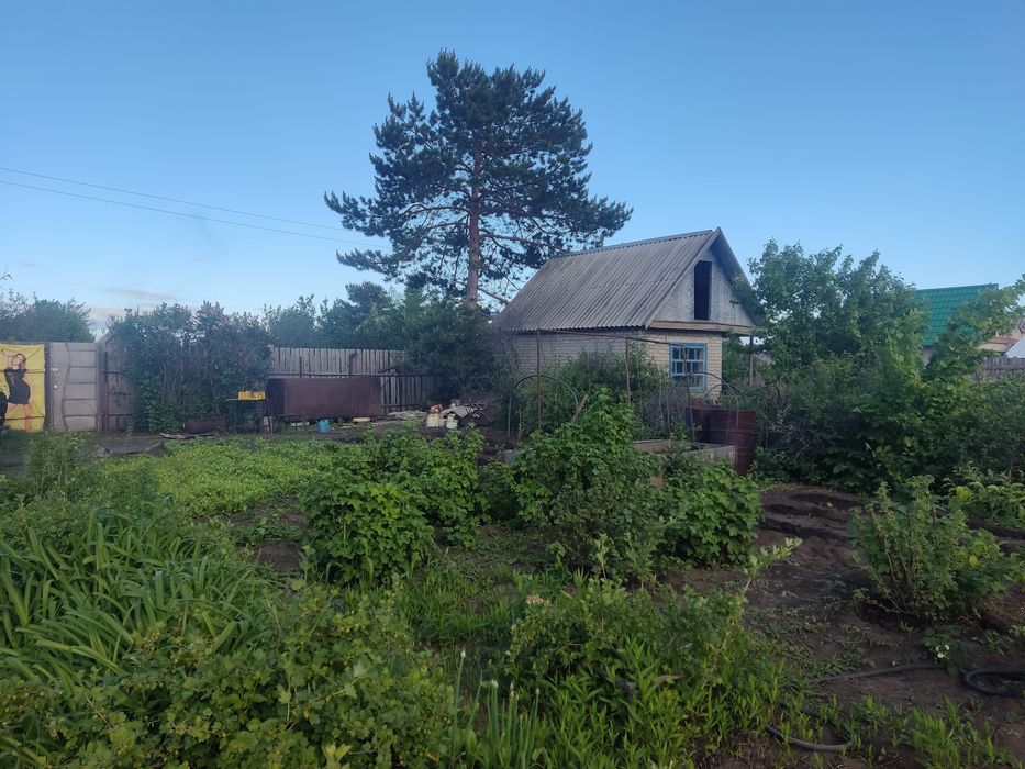 Дачный участок,  6.5 соток