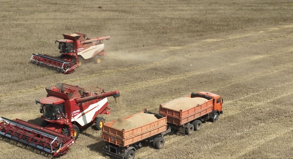 Продаётся земля сельхозназначения - пашня