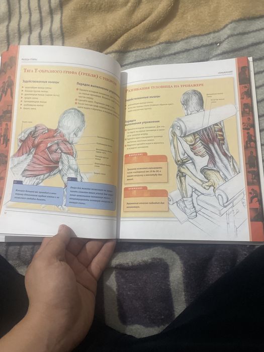 Книга про анатомию