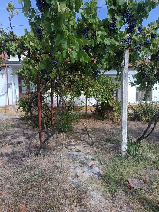 Продавам къща в село Гранит