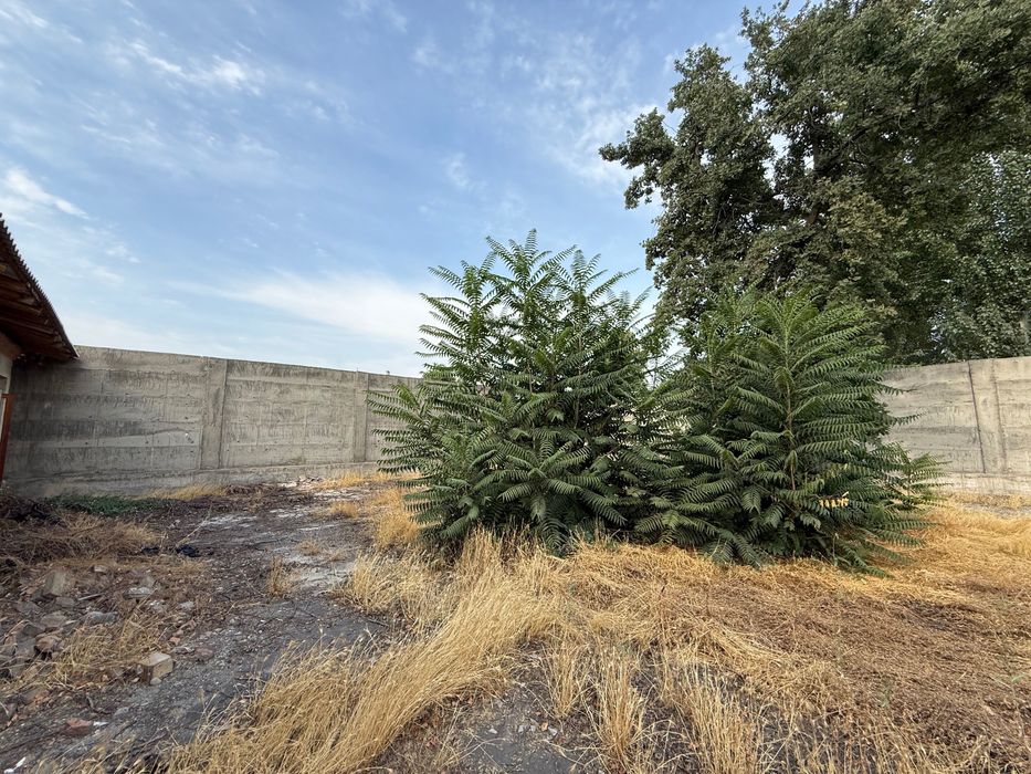 Земля с домом 22,5 соток