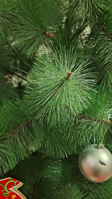 Арча сотилади размери 2.60