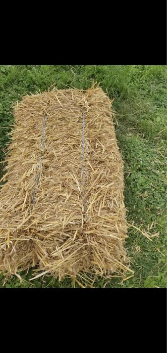 Baloti de paie din triticale !!!