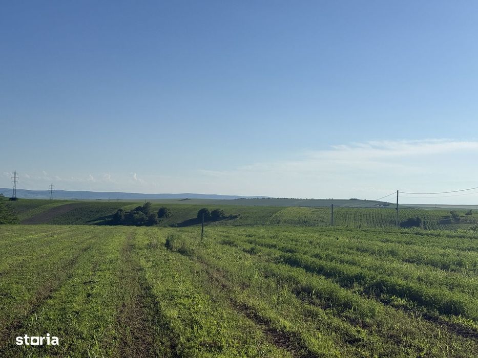 Loturi de casă în Breazu, Iași – Strada Fermei, de la 17.000 € + TVA