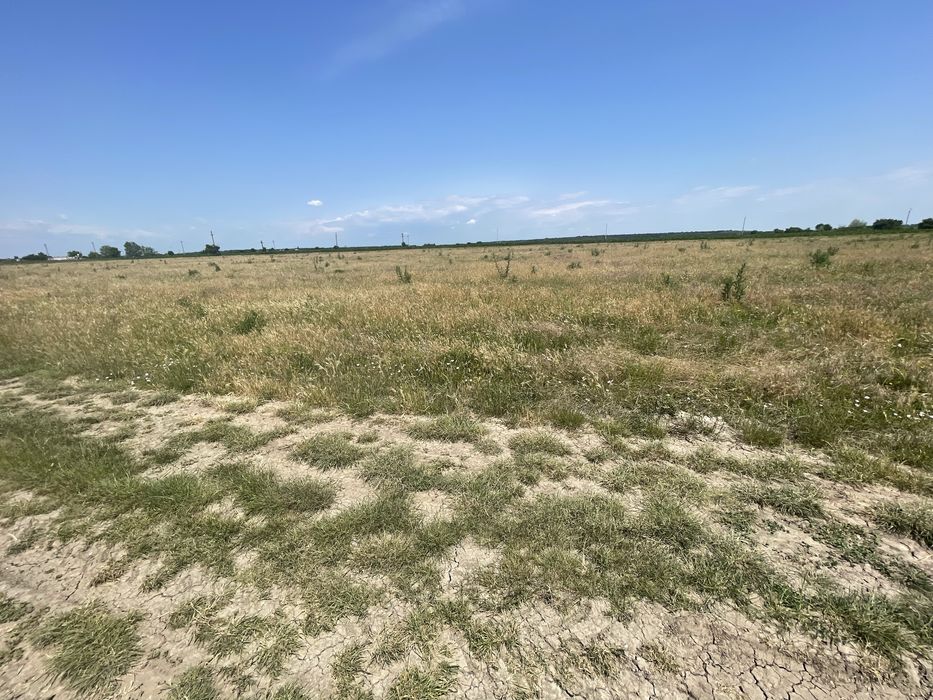 Teren Tartasesti/Baldana 25min Buc 1030mp la 500m de Scoala Tartasesti