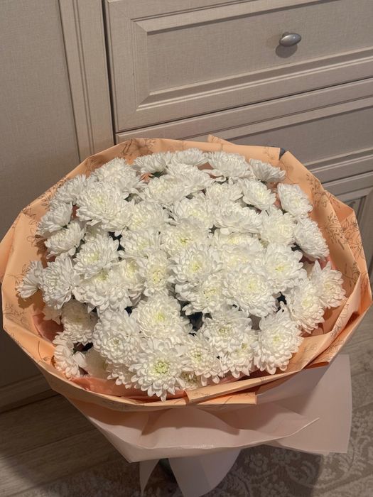 Нежные хризантемы