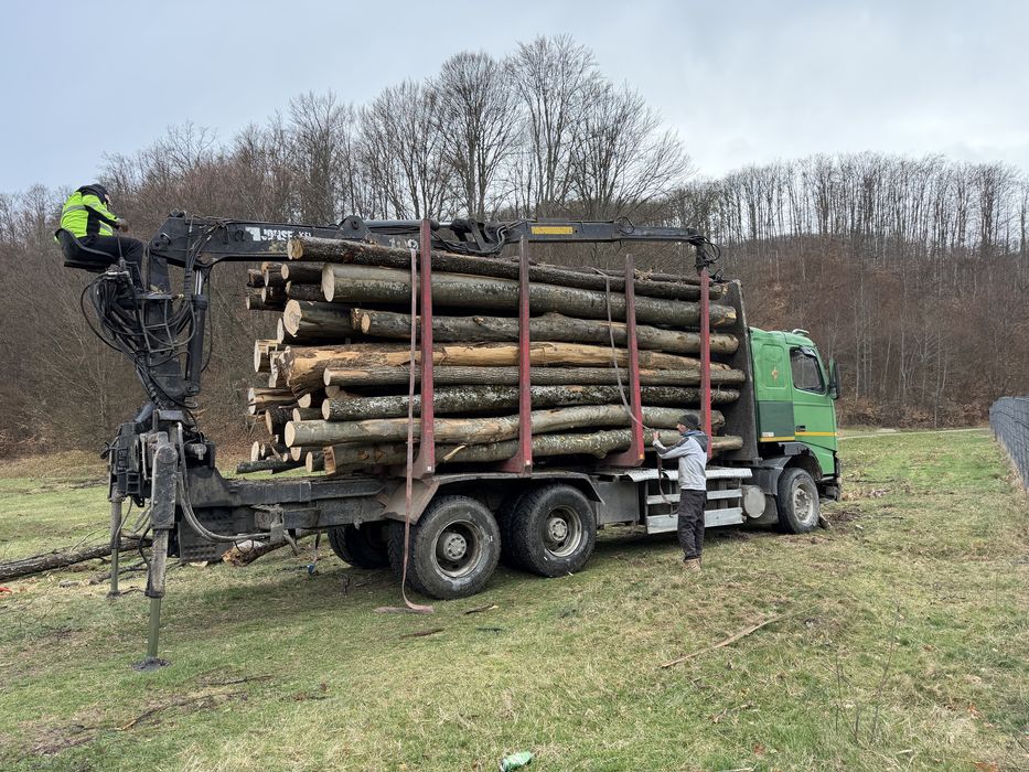 Lemne de foc tichet energie