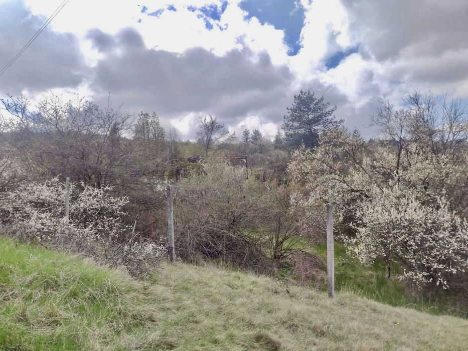 Продава се Парцел в с. Клисура, Област София-град - 537 кв.м за 38 €/кв.м - Снимка #2