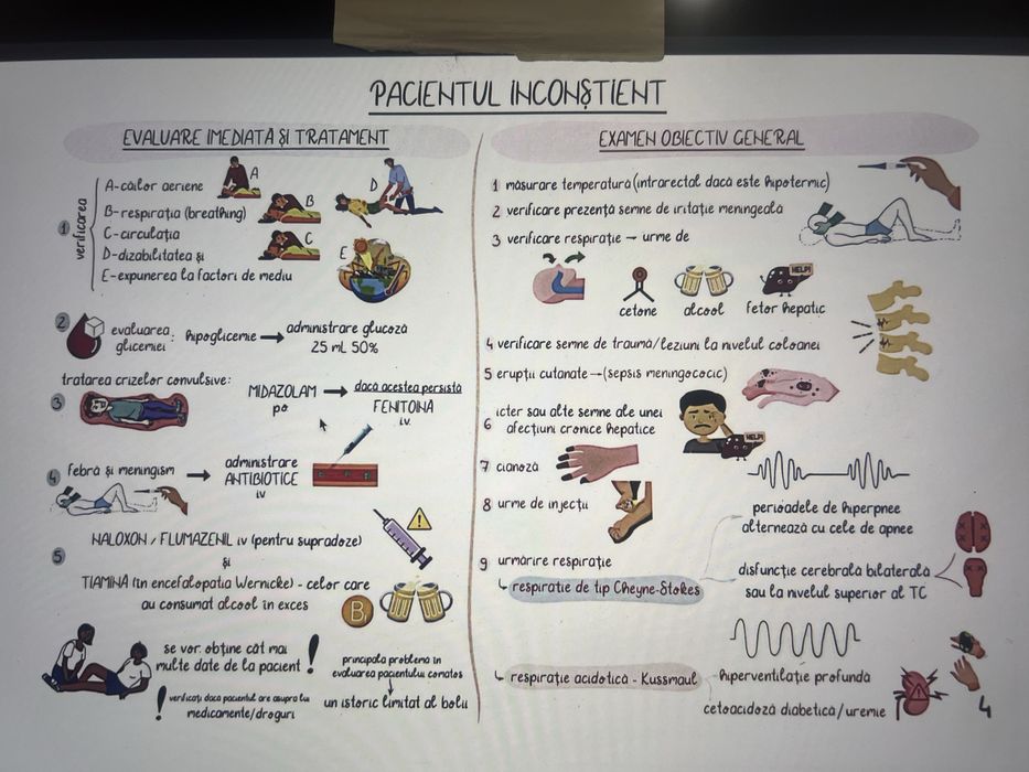 Planse PDF Logia Rezidentiat