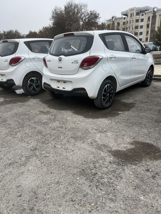 BenBen e-star qingxin version,