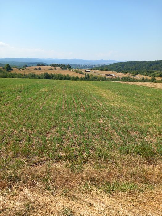 Teren de vânzare Ilisesti  în apropierea căminului de bătrâni