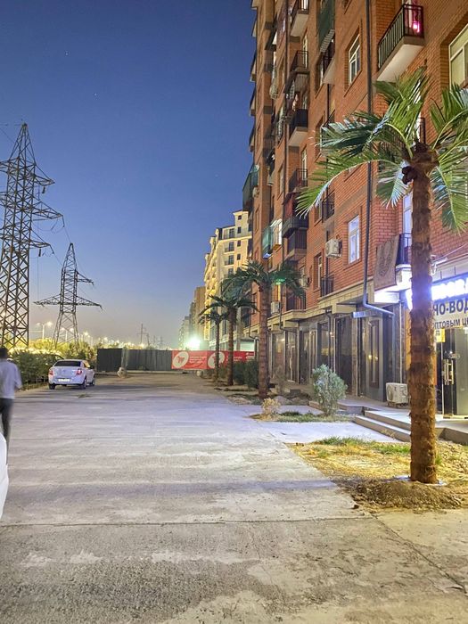 Sunniy PalmaСунний пальма дарахтлари энди муаммо эмас!