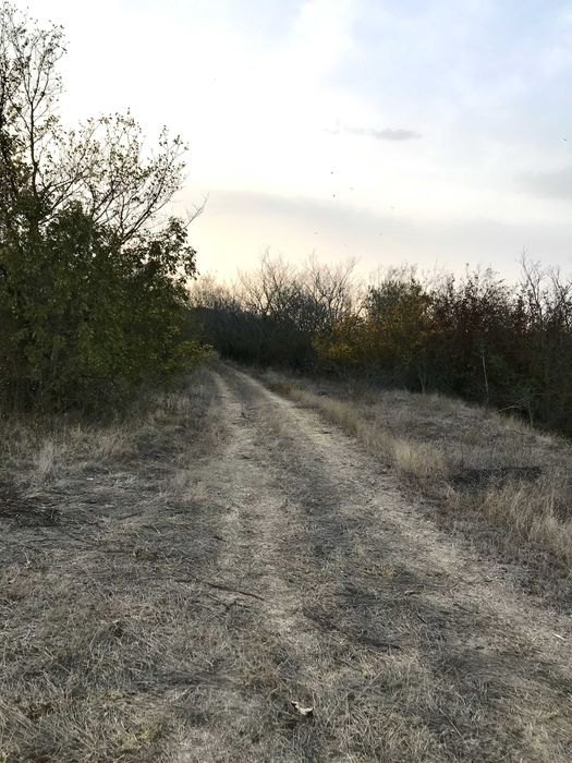 Продава се Парцел в с. Константиново, Област Варна - 4000 кв.м за 15 €/кв.м - Снимка #7