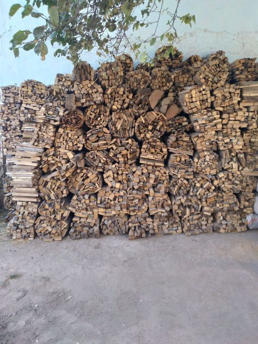 Otin bor realni gaplawamiz