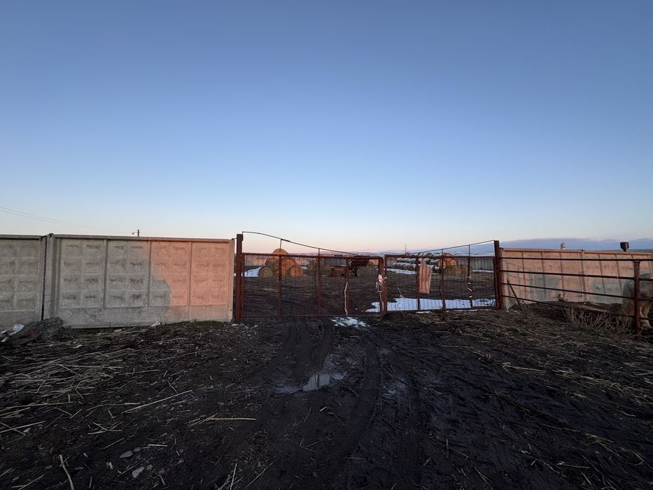 Продам фазенду, пастбища, базы для с.х