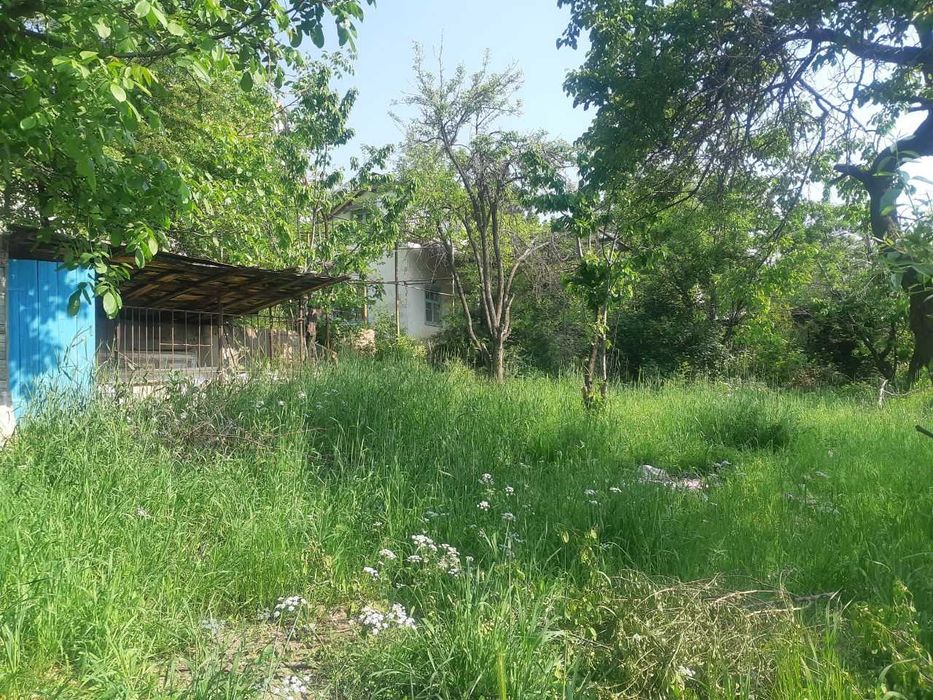 Чарвак,Продаётся дачный участок 6 соток