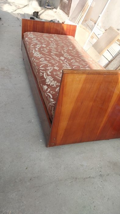 Боксёр першатка сы