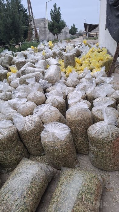 Selos donli  20kg  qopli