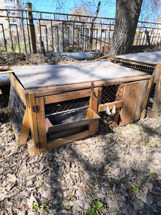 Клетка для кроликов