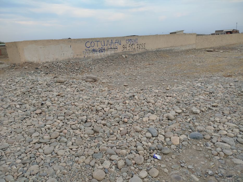 Yer maydoni 10 sotix