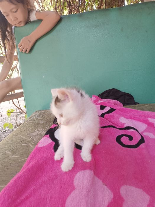 Отдам добрые руки мальчик очень милый