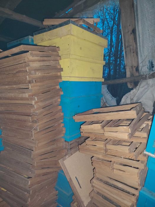 Кошери с по два магазина