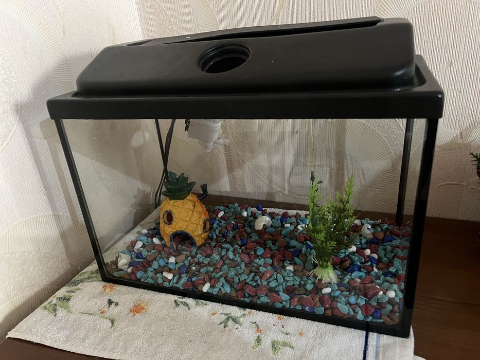 Продам  аквариум