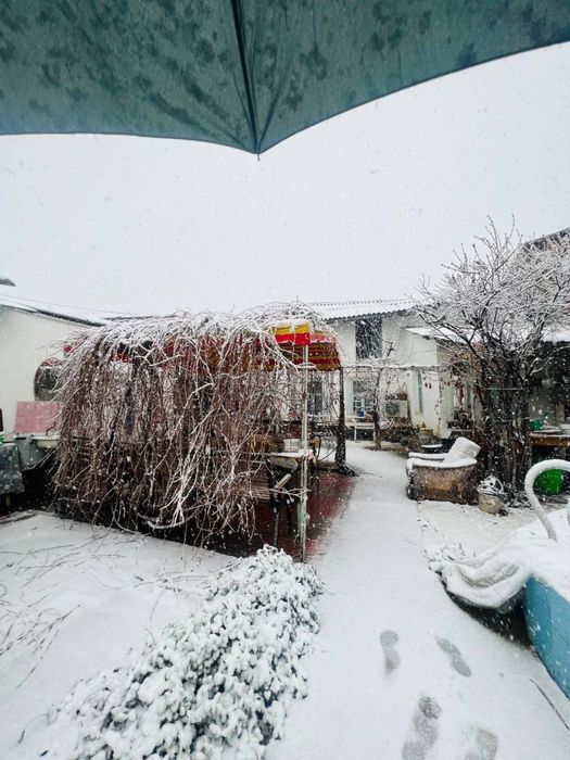 Участок на цалковской