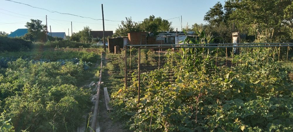 Продам дачу общество сокол