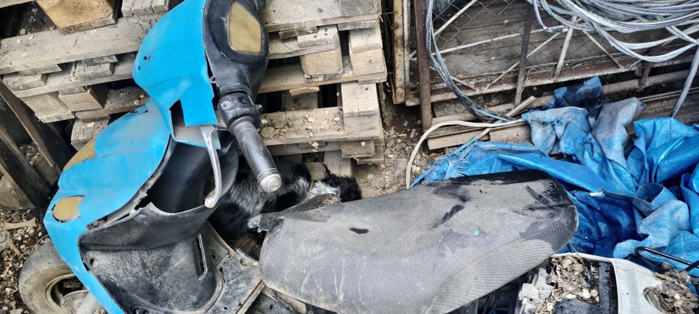 Gts 50 на запчасти