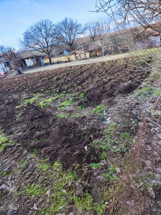 Къща с двор 1500кв.м