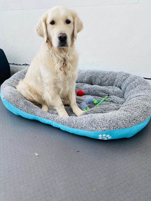 Легло за голямо куче с лапичка ХХЛ светло син
