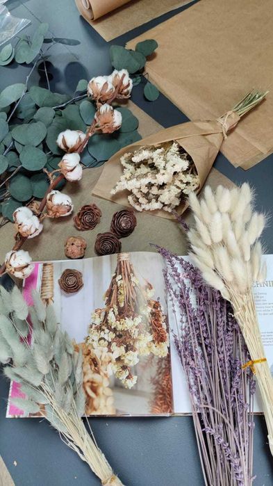 Лагурус сухоцвет