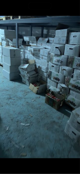 Финики, курма, склад, топ