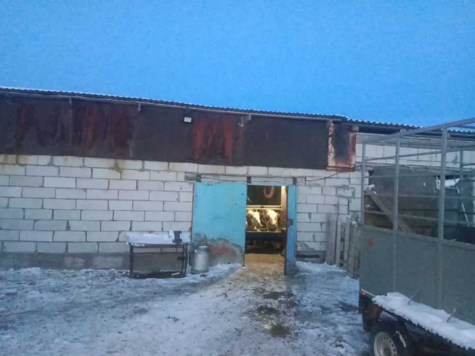 Сельское хозяйство