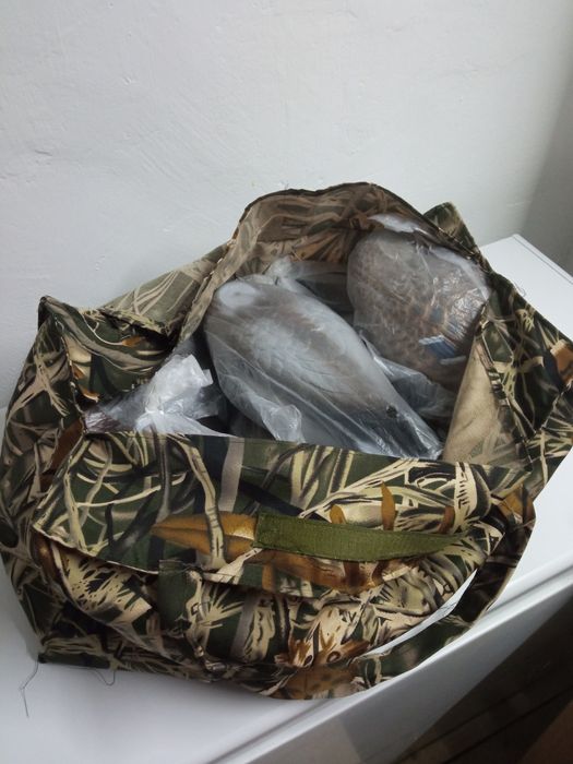 Чучела гуся, утки плавающие, кряквы.