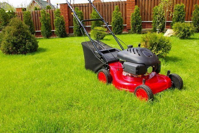 Стрижка Газон косилка бензин Газон уриш