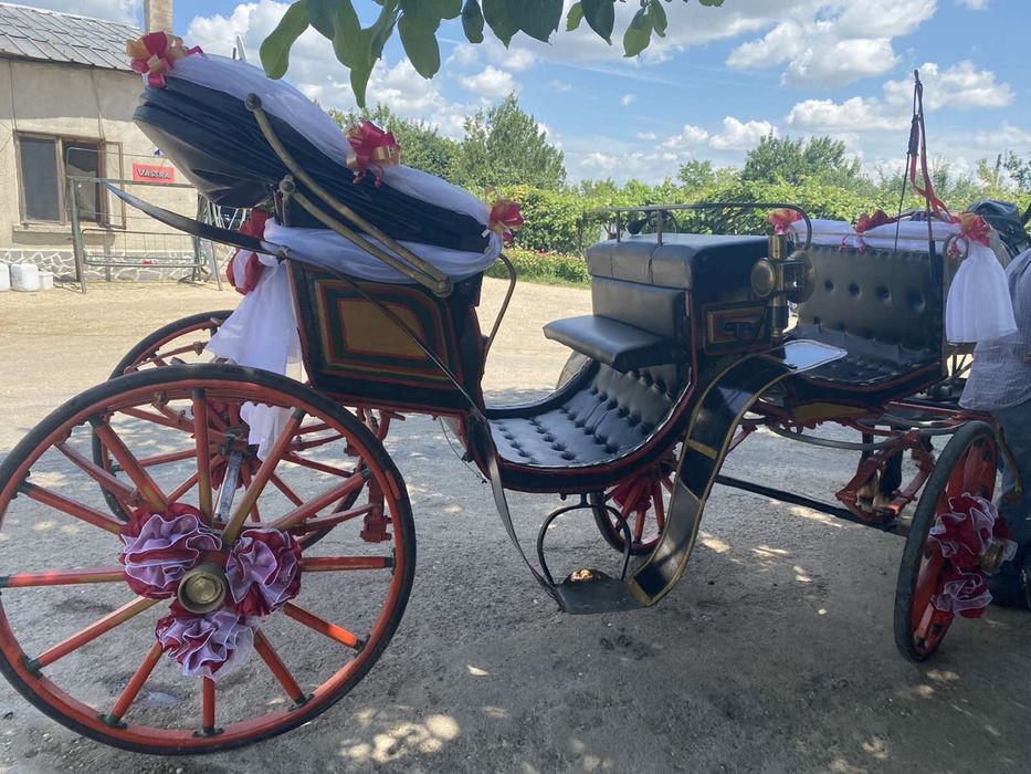 Файтон в отлично състояние