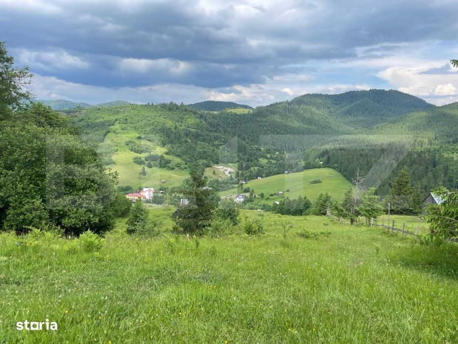 Teren de vanzare, 2 ha - Campulung Moldovenesc, zona Sandru