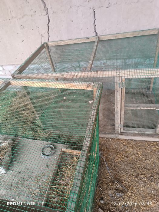 Joʻjalar uchun kataklar sotiladi