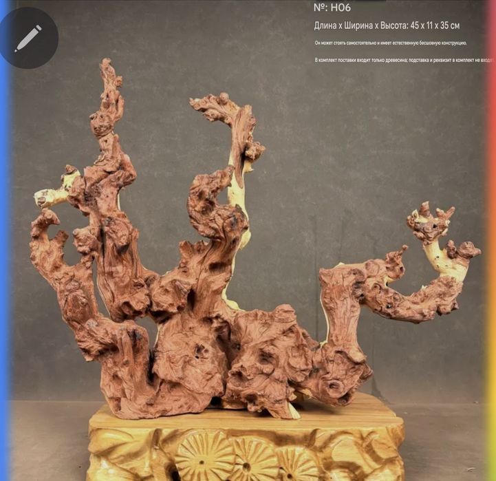 Коряга шикарной рельефной формы