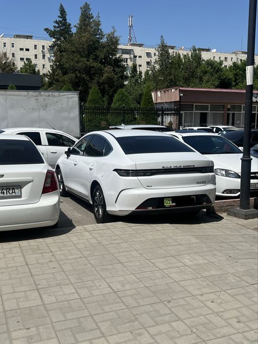 Byd chazor arenda