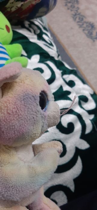 Игрушка ty популярная в США