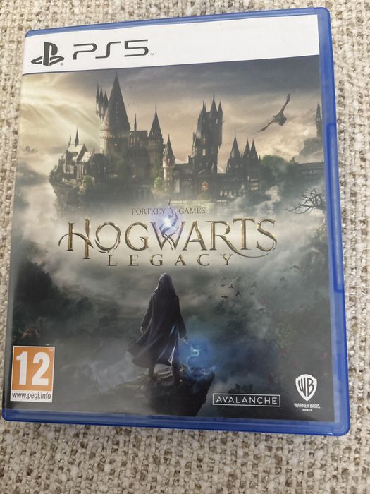 Hogwarts Legacy на пс5