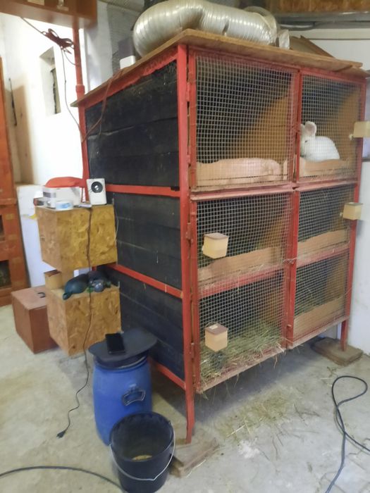 Cusca iepuri 6 boxe